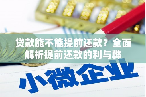 无为贷款能不能提前还款？全面解析提前还款的利与弊