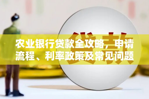 无为农业银行贷款全攻略，申请流程、利率政策及常见问题解析