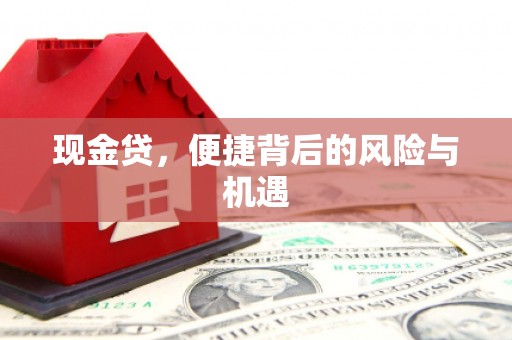无为现金贷，便捷背后的风险与机遇