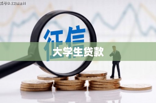 无为大学生贷款