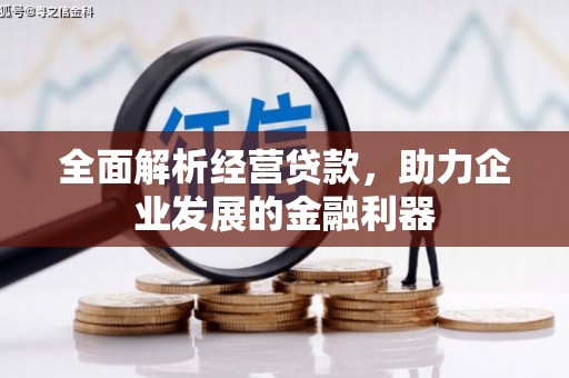 无为全面解析经营贷款，助力企业发展的金融利器