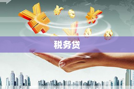 无为税务贷