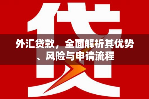 无为外汇贷款，全面解析其优势、风险与申请流程
