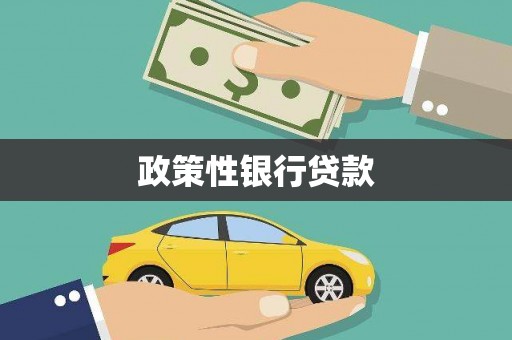 无为政策性银行贷款