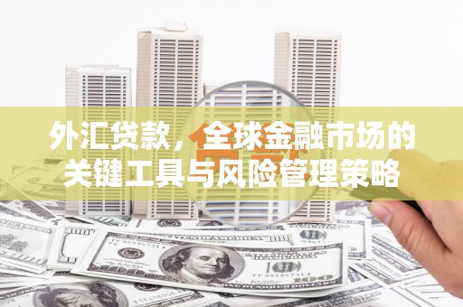 无为外汇贷款，全球金融市场的关键工具与风险管理策略
