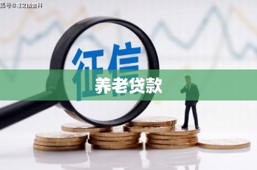 无为养老贷款