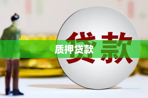 无为质押贷款