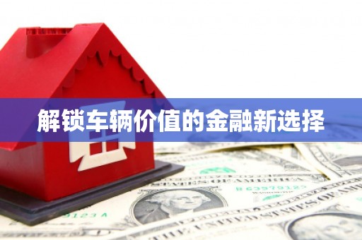 无为解锁车辆价值的金融新选择