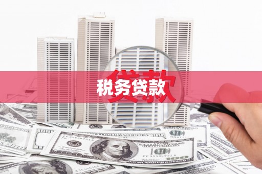 无为税务贷款