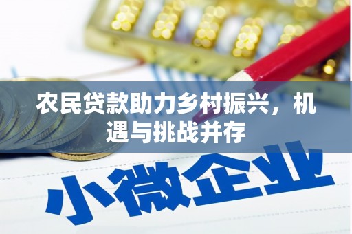 无为农民贷款助力乡村振兴，机遇与挑战并存