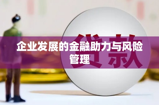 无为企业发展的金融助力与风险管理
