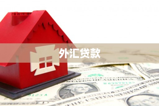 无为外汇贷款