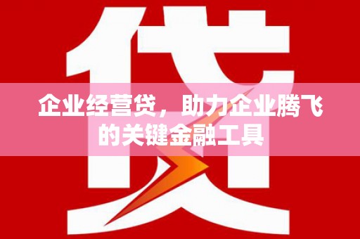 无为企业经营贷，助力企业腾飞的关键金融工具