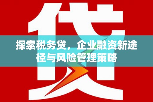 无为探索税务贷，企业融资新途径与风险管理策略