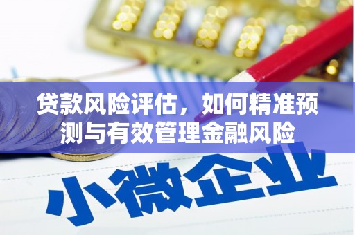 无为贷款风险评估，如何精准预测与有效管理金融风险