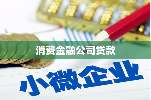 无为消费金融公司贷款