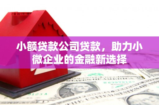 无为小额贷款公司贷款，助力小微企业的金融新选择