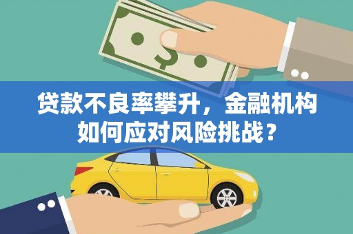 无为贷款不良率攀升，金融机构如何应对风险挑战？