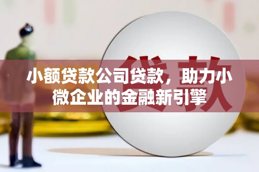 无为小额贷款公司贷款，助力小微企业的金融新引擎