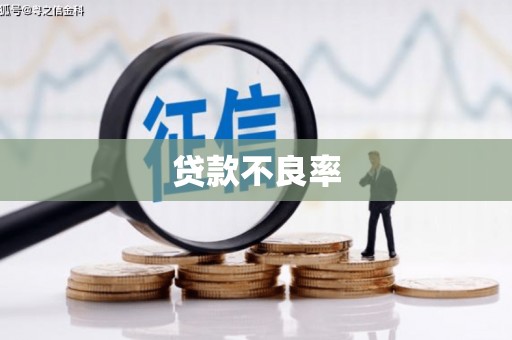 无为贷款不良率