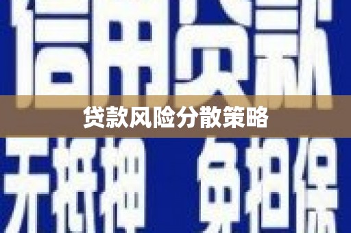 无为贷款风险分散策略
