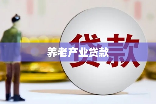 无为养老产业贷款