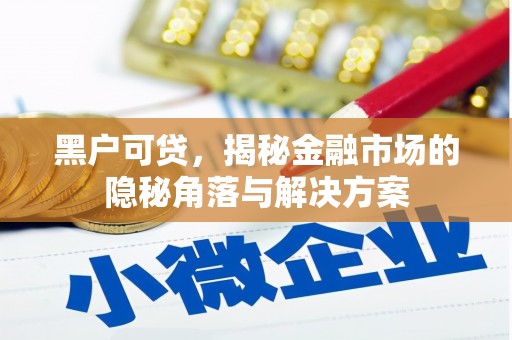 无为黑户可贷，揭秘金融市场的隐秘角落与解决方案