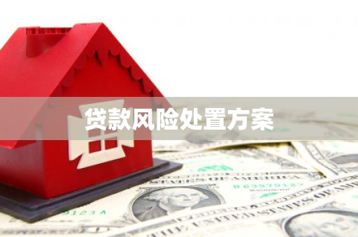 无为贷款风险处置方案