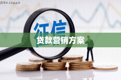 无为贷款营销方案