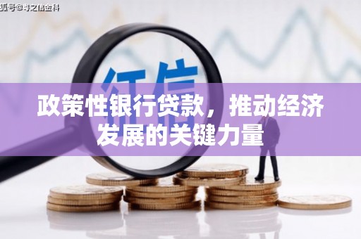 无为政策性银行贷款，推动经济发展的关键力量
