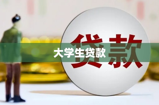 无为大学生贷款