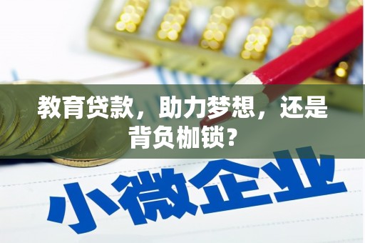 无为教育贷款，助力梦想，还是背负枷锁？