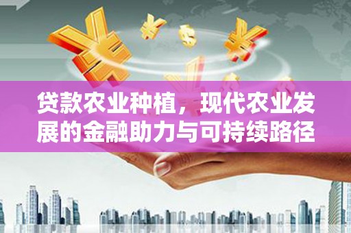 无为贷款农业种植，现代农业发展的金融助力与可持续路径