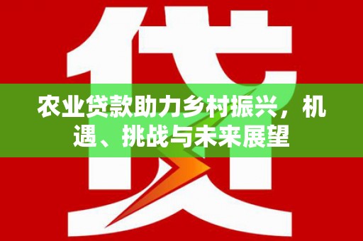 无为农业贷款助力乡村振兴，机遇、挑战与未来展望