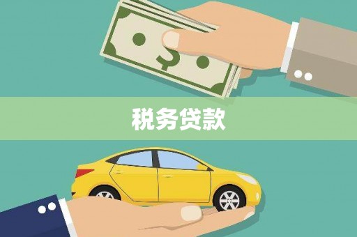 无为税务贷款