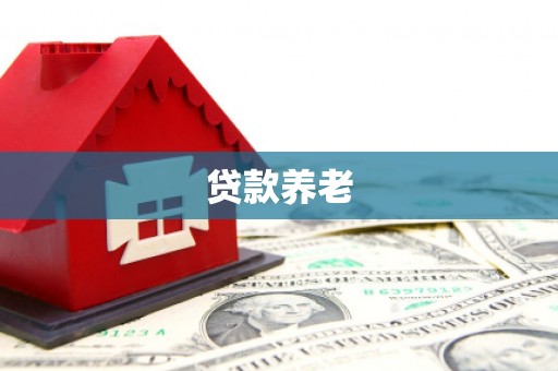 无为贷款养老