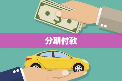 无为分期付款