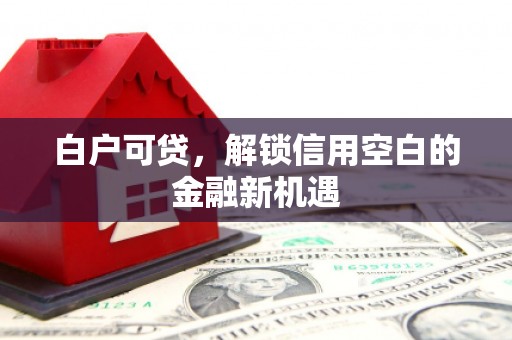 无为白户可贷，解锁信用空白的金融新机遇
