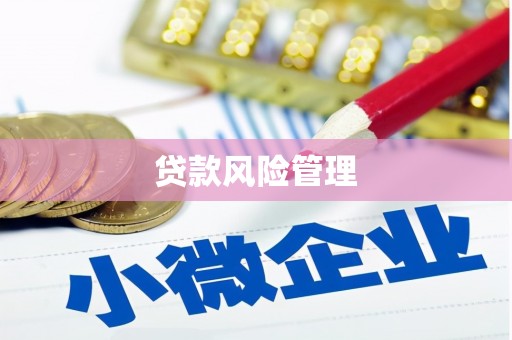 无为贷款风险管理