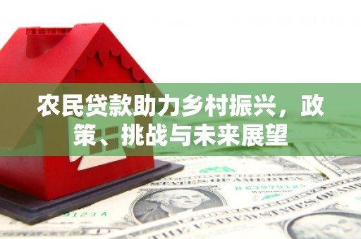 无为农民贷款助力乡村振兴，政策、挑战与未来展望