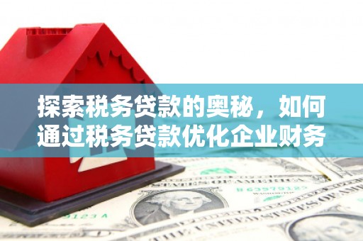无为探索税务贷款的奥秘，如何通过税务贷款优化企业财务