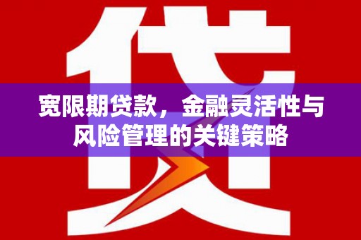 无为宽限期贷款，金融灵活性与风险管理的关键策略