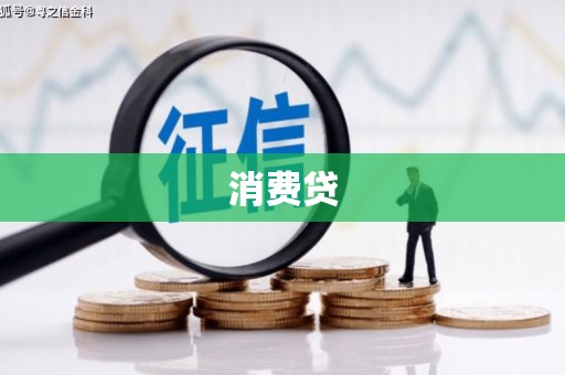 无为消费贷