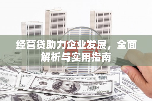 无为经营贷助力企业发展，全面解析与实用指南
