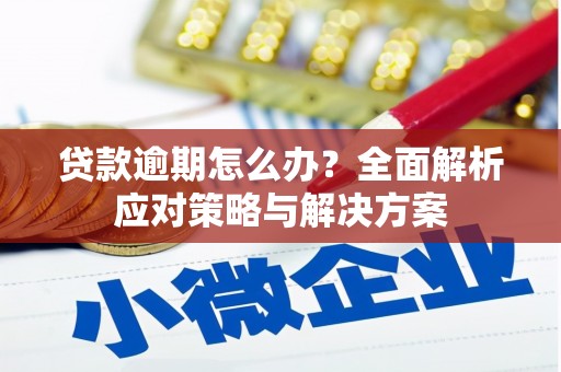 无为贷款逾期怎么办？全面解析应对策略与解决方案