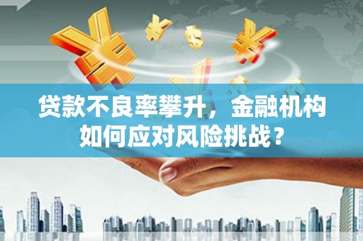 无为贷款不良率攀升，金融机构如何应对风险挑战？