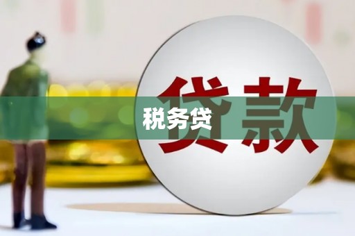 无为税务贷