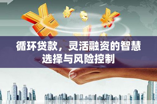 无为循环贷款，灵活融资的智慧选择与风险控制