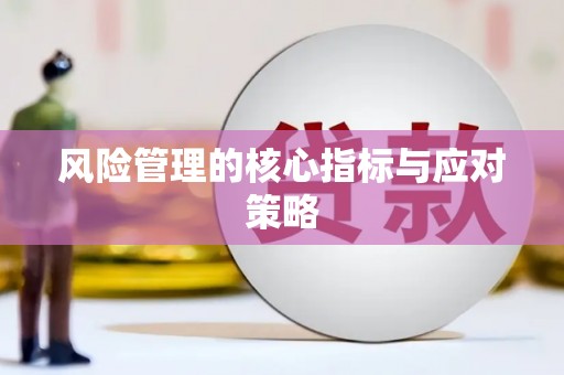 无为风险管理的核心指标与应对策略