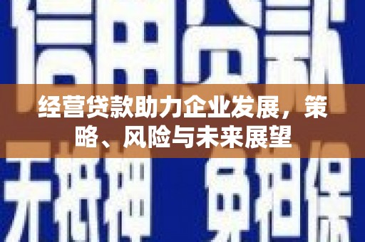 无为经营贷款助力企业发展，策略、风险与未来展望